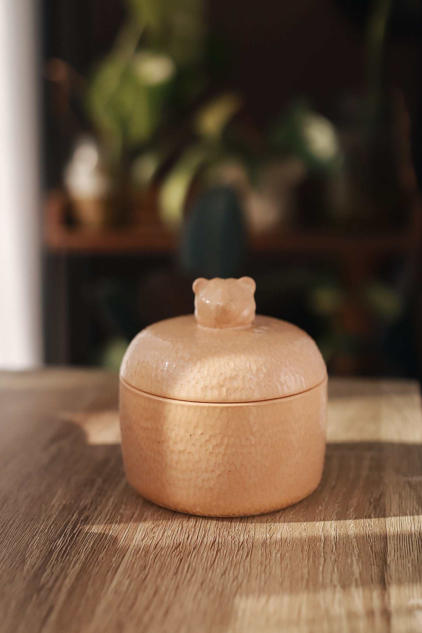 Caja de osito