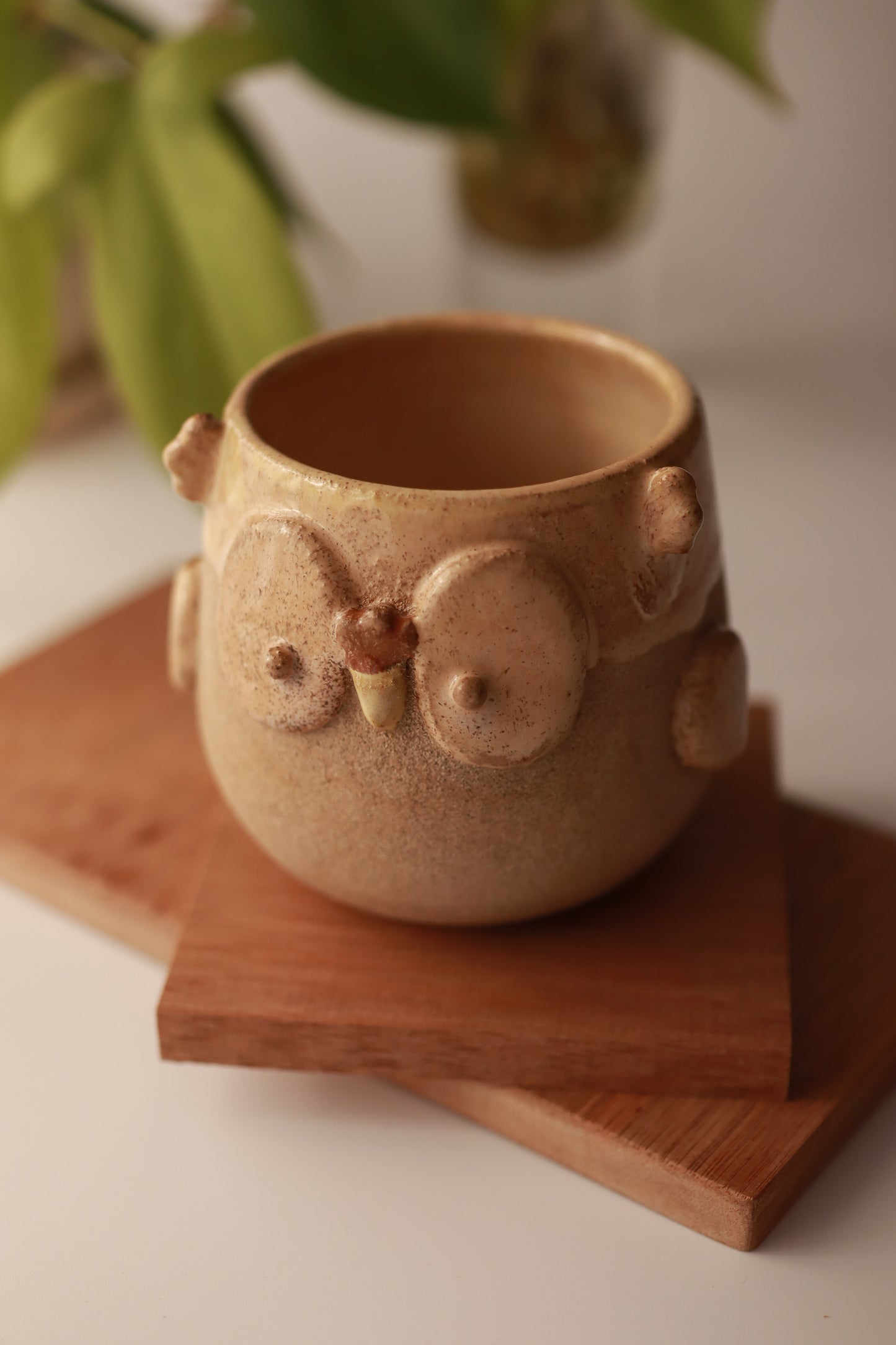 Taza Búho Pequeño