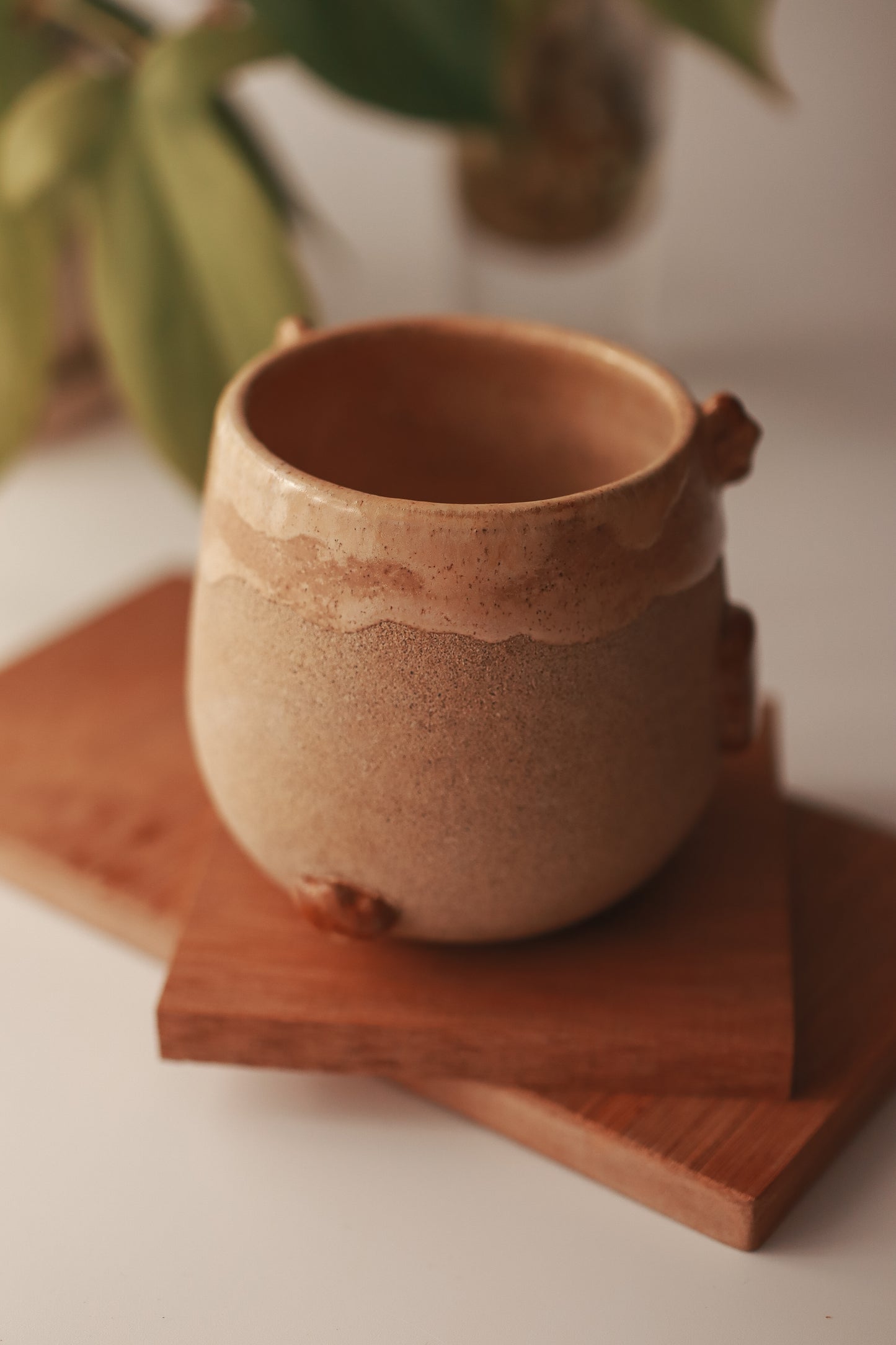 Taza Búho Pequeño