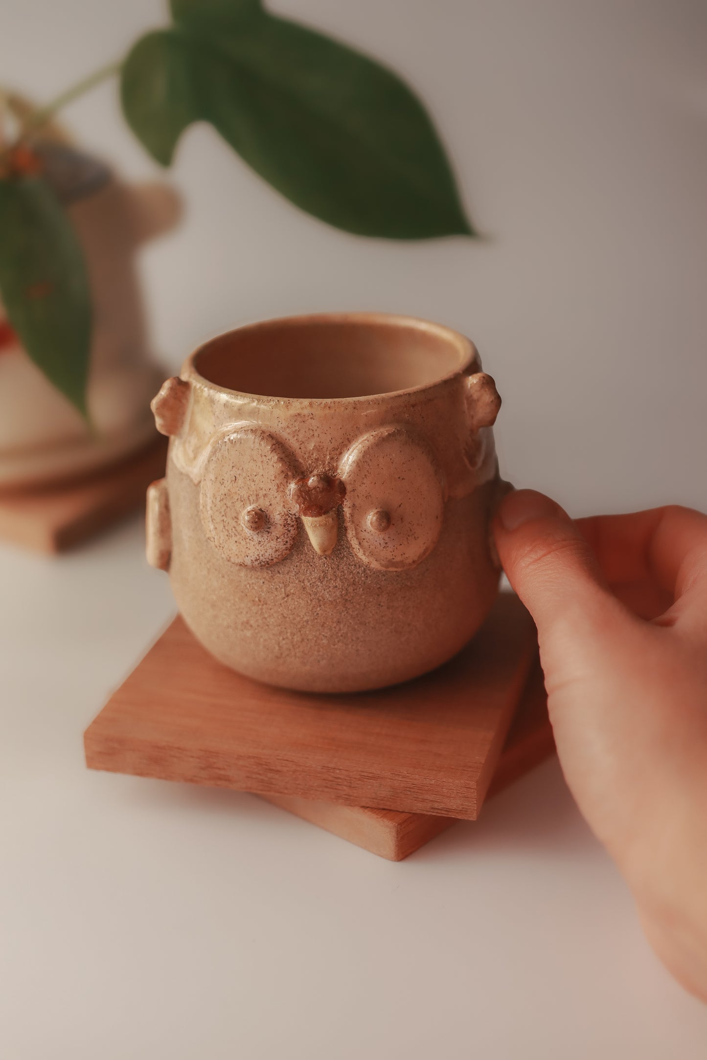 Taza Búho Pequeño