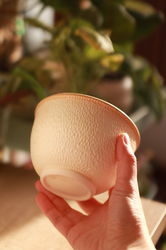 Bowl texturado blanco